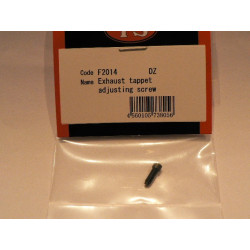 Exhaust tappet adjusting screw for DZ