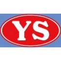 YS Parts for DZ 175 CDI