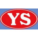 YS Parts for DZ 185 CDI
